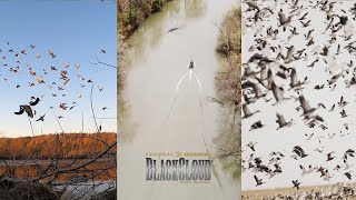 Dr. Duck 2020 Season Highlights | Black Cloud