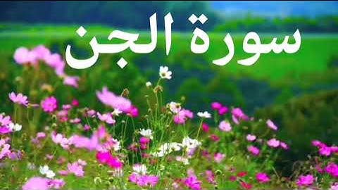 SURAH JINN سورة الجن