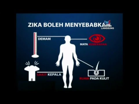 Video: Sarcomas Dalam Retinoblastoma Keturunan