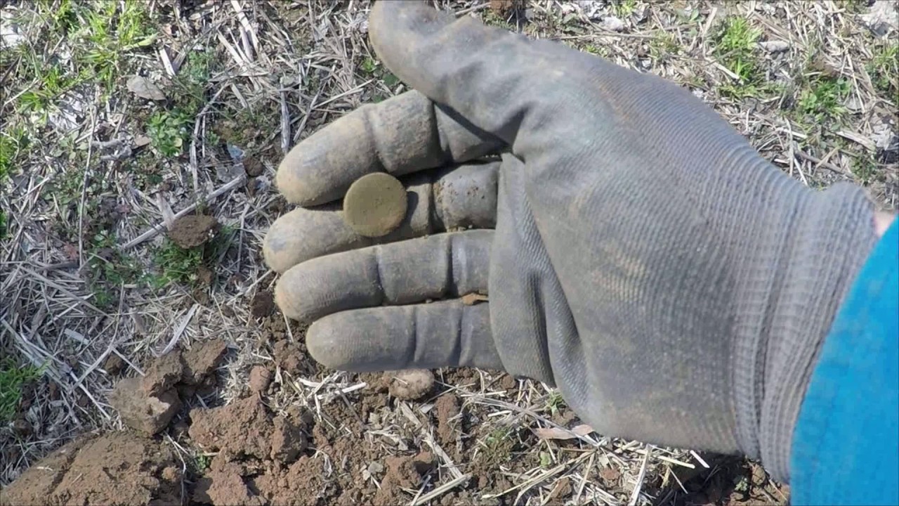 Metal Detecting the Colonial Landing and Confederate Camp YouTube