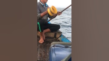 #98 nghề câu cá nục trên biển Đông #shorts