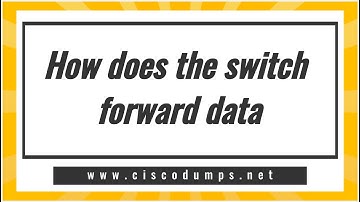 【ThinkMo】How does the Switch forward data? /Cisco/CCNA/CCNP/CCIE technical point