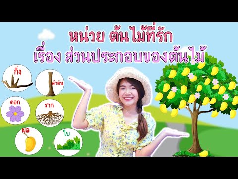 Lovely Trees Unit: Parts of a Tree by Teacher Prae