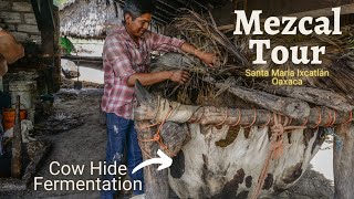 Mezcal Tour - Cow Hide Fermentation (Santa Maria Ixcatlan, Oaxaca)