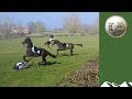 Golden Button Challenge - Britain's craziest horse race