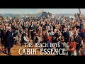 Capture de la vidéo The Beach Boys- Cabin Essence ('Wheatfield Souls')