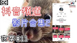 【小夜】0817你不會我教你 專門針對老鼠團 不要老來跟我說 你不會我教你 乖乖去賺錢很難嗎 抖音頻道影片合集2 『夜享#11』【Nightstore】