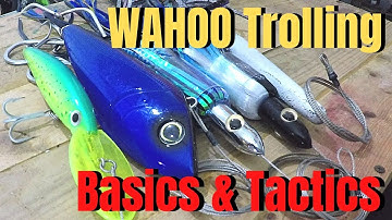 How to catch WAHOO high speed trolling Basics & tactics