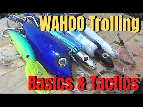 How to catch WAHOO high speed trolling Basics & tactics 