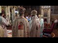 Înscăunarea PS Părinte Episcop Vicar Emilian Crișanul 16 Iulie 2017 Arad