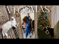VLOGMAS | meet our new kitten, christmas trees, dining room makeover, new bedroom rug, + errands