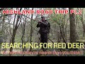 WILDLIFE PHOTOGRAPHY-HIGHLAND ROAD TRIP- SEARCHING FOR RED DEER
