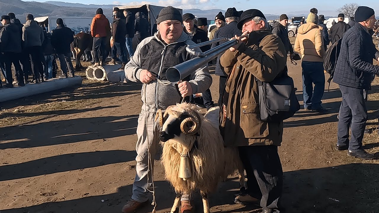 Targ de tara Sighetu Marmatiei, februarie 2025