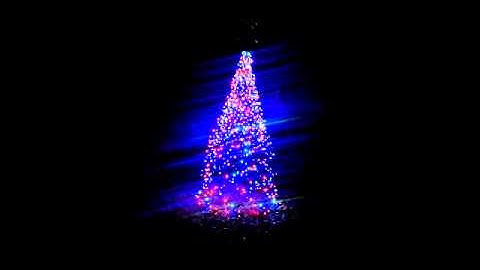 2014 spiral tree test