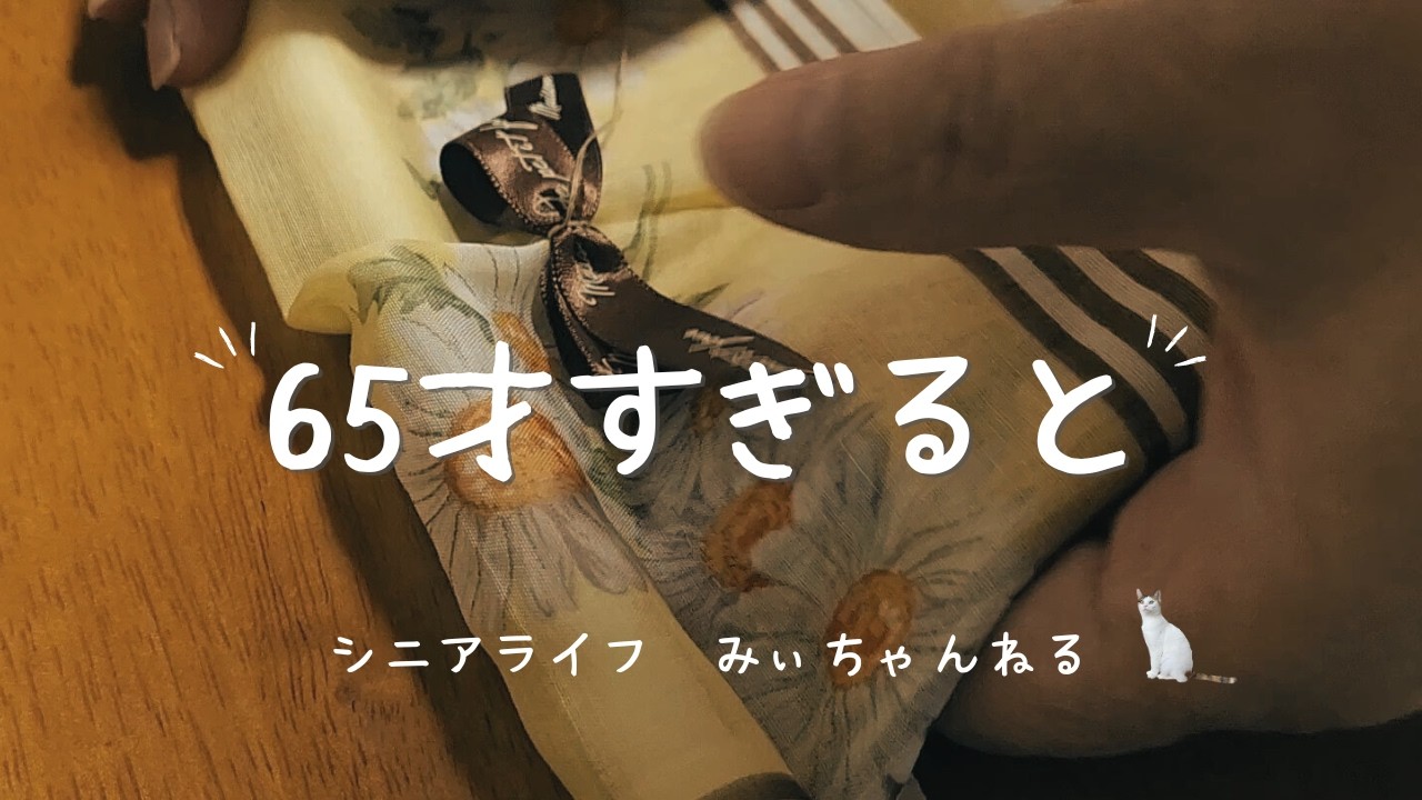 【Vlog】60代 キッチン模様替えで得たもの/ネコは迷わない/春のきざし