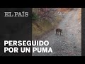 Senderista es sorprendido por un PUMA