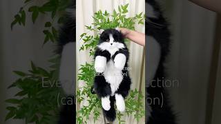 You need this realistic handmade cat plush backpack #chongker #catbag #catlovers #notacatbackpack