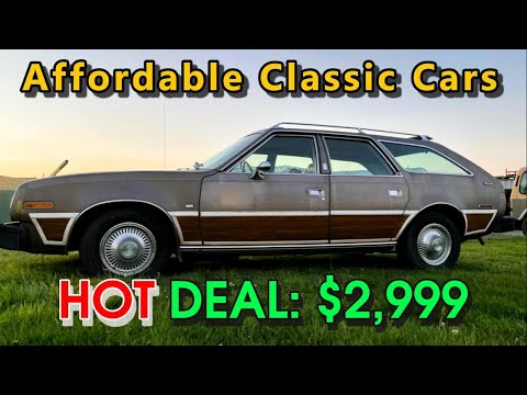 From Hidden Gems To Bargains Galore Explore Sarasotas Craigslist Paradise
