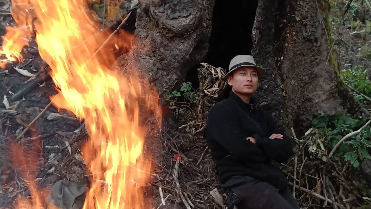 Mission Orchid || Jungle Safari || Adventure, into the woods 🪵 