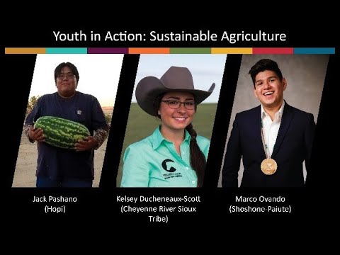 Sustainable Agriculture | Youth in Action
