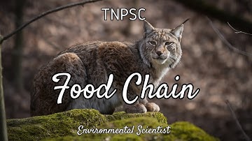 Food chain - Environmental Scientist / Assistant Engineer - TNPSC Exam
