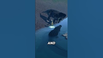 This human thought he was safe #theisle #deinosuchus #crocodile #dino