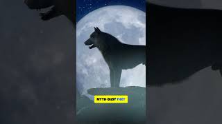 What Wolves Are Actually Saying When They Howl #wolves #animals #shorts