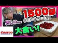 【1500g地獄】コストコのいちごケーキ大食い!!世界一美味しすぎてめちゃくちゃ食えるww【マスク】