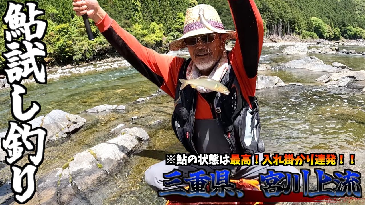 【三重県・宮川上流】2025年5月4日試し釣り速報！鮎だらけ！ヤル気満々鮎が飛びついて来る！！