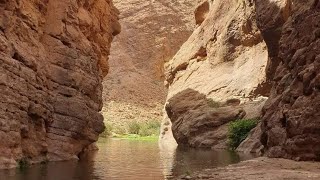 #Excursions_randonneè_Hiking_Gorges_Miguirne_Ait_Sadrat_Maroc#مضاييق_ميكيرن