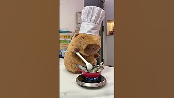 Chef Capybara