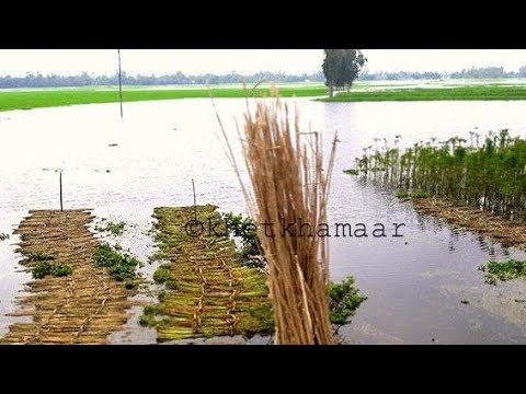 ভিডিও: পানির ভৌত ও রাসায়নিক বৈশিষ্ট্য কী?