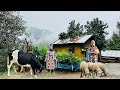 Cooking for Our Farm Dog and Cows | Preparing Traditional Local Leek Dish in the Village