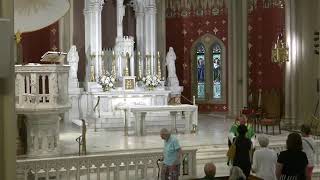 2026 0821 HNJ Daily Morning Mass - Memorial of Saint Pius X, Pope