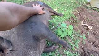 This is Freedom Sanctuary
