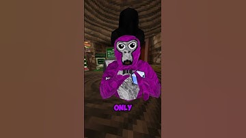 Day 1 of joining My Gtag Fan Code… #gorillatag #gorillatagquest #vr #gtag #gtagvr #gorillatagvr