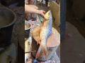 Amazing Cutting Skills | Big Rohu Fish Skinning & Chopping By Expert Fish Cutter