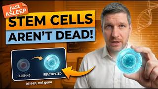 99% of Your Stem Cells Aren't Dead — They're Just Asleep (Wake Them Tonight)