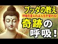 【ブッダの教え】奇跡の呼吸！呼吸を変えれば人生が変わる！