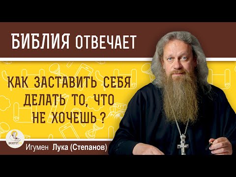 Как заставить себя делать то, что не хочешь?  Игумен Лука (Степанов)