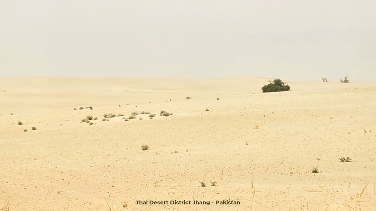 Thal Desert