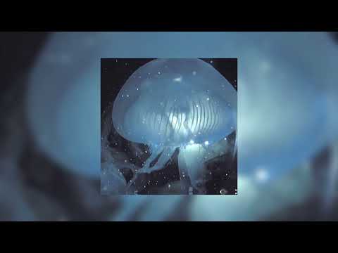 EEYUH × FLUXXWAVE (Irokz remix) [ slowed / Reverb ]