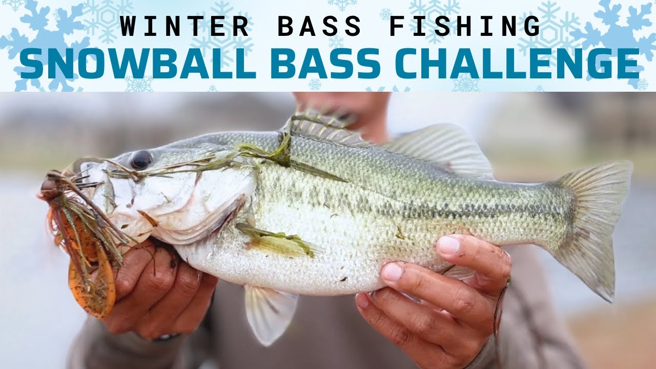 SNOW= HOT BASS BITE!! /Winter Bass Fishing