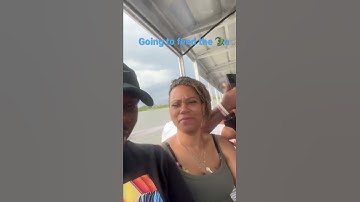 Thumbnail of Swamp Tours in New Orleans💜