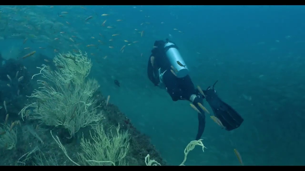 Al Boom Diving Commercial