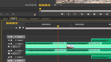 Premiere Pro Basics (CS6 & above): 16 Tools Part 1
