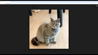 Custom Wall Clock with AI PLUS PRINT in Just One Minute | Nordic Style British Shorthair screenshot 2