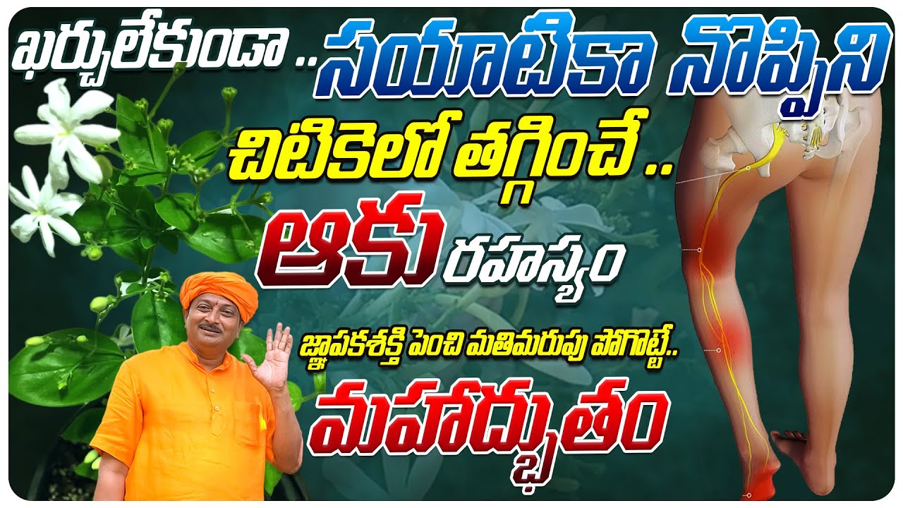 సయాటికా నొప్పిని చిటికెలో తగ్గించే .. ఆకు రహస్యం, జ్ఞాపకశక్తి పెంచి మతిమరుపు మాయం | Dr. Ravivarma