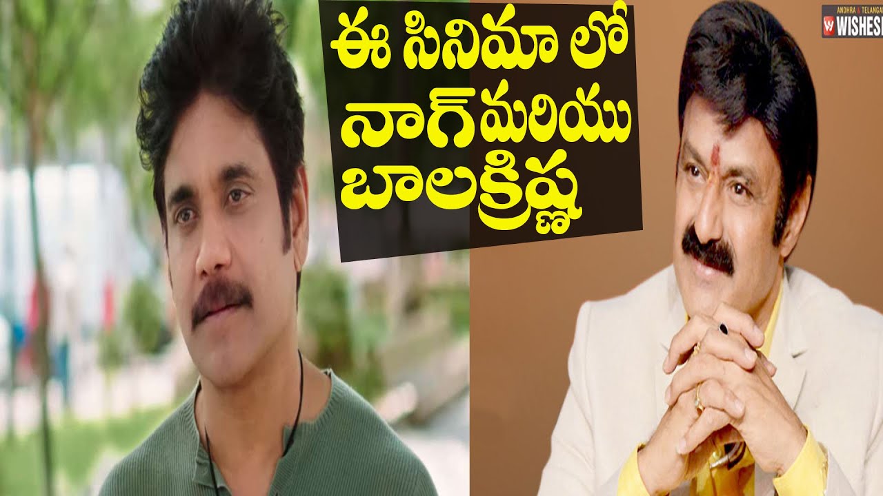 Balakrishna Movie Updates | Nagarjuna Movie Updates | NBK 106 | NBK 107 | BalaKrishna | Nagarjuna