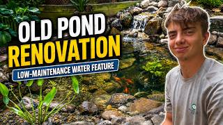 TOTAL POND RENOVATION! 😍🐠